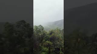 Symphony of Storms: Exploring Nature's Heavy Rain and Thunder in the Village #ASMR #arainingday