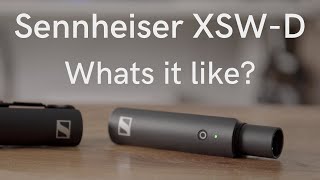 Sennheiser XSW-D Radio Mic. What is it like?