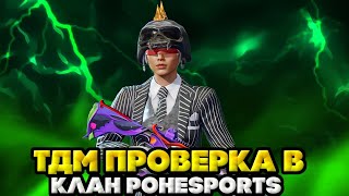 Тдм проверка в клан POHESPORTS | Прошёл?