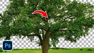 Try this, Remove Tree Background Perfectly using Photoshop