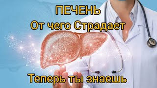 ПЕЧЕНЬ /Большинство от чего страдает и на каком продукты /Теперь ты знаеш