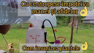 Soluții împotriva manei și afidelor / imunizarea plantelor 🤠👍