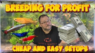 Breeding For Profit: Cheap and Easy Setups For Shrimp, Fish and Plants