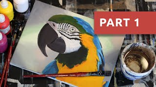 Painting tutorial acrylics for beginners: ara (part 1) step by step