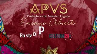 Ensayo Abierto - Apus Protectores de Nuestro Legado