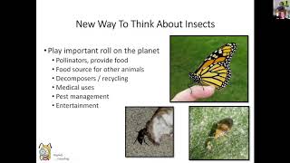 Healthy Habitat For Creepy Crawlies Webinar