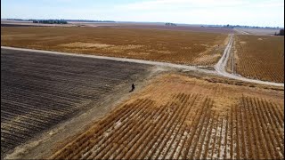 Family Trail Ride With Drone Footage - Dirt Bikes, Kayo Bull 150cc DJI Mini SE With Litchi Follow Me