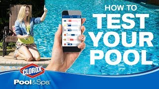 How To Test Your Pool At Home | Clorox® Pool Water Testing App:  Clorox® Pool&Spa™