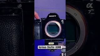 Various dslr Camera shutter ASMR #asmr #photography