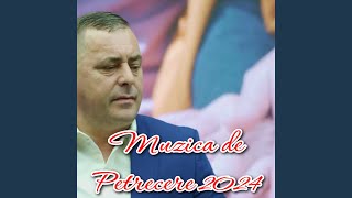 Mix Muzica De Petrecere 2024 Colaj