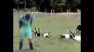 CR7 hitting people meme