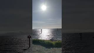 Windy day at the San Leandro California Marina Park