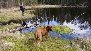 Рыбалка в Карелии. Всего по чуть-чуть. А еще про моего друга - азартного рыбака и охотника.