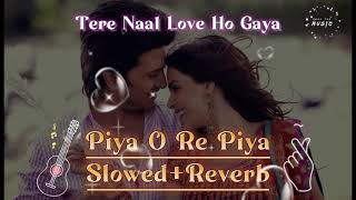 Piya O Re Piya (Slowed +Reverb) from movie Tere Naal Love Ho Gaya