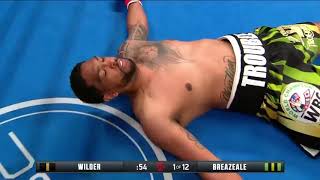 Deontay Wilder vs Dominic Breazeale KNOCKED TF OUT!!!!