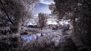 Relaxing photography walk along the Monkland Canal