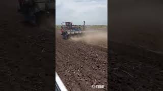 Stine® in the Field: Kirkwood Community College Corn Plot