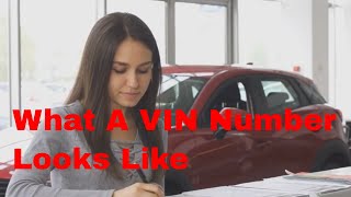 What a VIN Number Looks Like & How do you find it on a vehicle - A simple guide