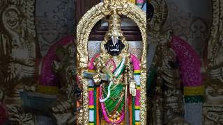 ஸ்ரீ பார்த்தசாரதி பெருமாள் கொலு பொம்மை தத்ரூபமாக !