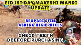 EID 1st Day Maveshi Mandi Update || Beopari still asking too high prices