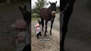 Adorable Toddler Leads Pet Horse! 🐴❤️ #Heartwarming #ToddlerAndHorse