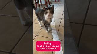 This cat is in denial. Real receipt from Petsmart!