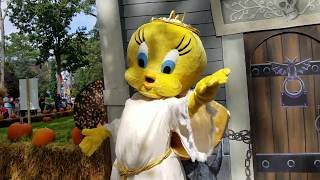 4K Meeting Tweety in a Halloween Costume at Six Flag's Trick or Treat Trail! Attraction Tube HD