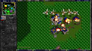 Warcraft 2 Mini Chop Farms 4v4