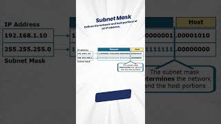 What is Subnetting ?  #networkershome #ccnadevnet #studentsuccess