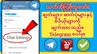 နှစ်မိနစ်အတွင်း ဖျက်လိုက်သော Telegram Messages ဓာတ်ပုံ ဗီဒီယိုများကို ပြန်လည်ရယူနည်း (2024)