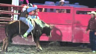 Attica Rodeo Jr Bull Riding