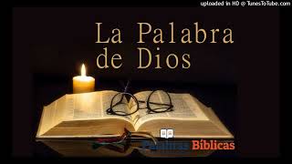 Palabra de Dios 02.07.24