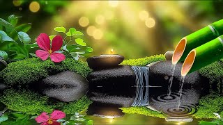 Relaxing Sleep Music + Therapy, Stress Relief, Deep Sleep, Relaxing Meditation Music, Spa