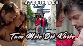 Tum Mile Dil Khile Status/Fullscreen Status/Stebin Ben Status/Larissa Bonesi Status/your status